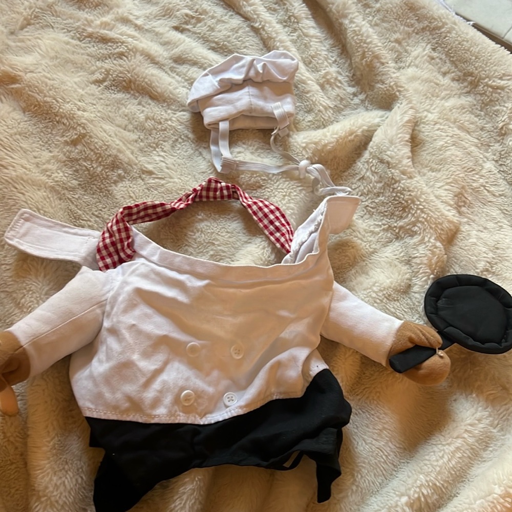 Fresco front walking chef dog and cat costume (large)